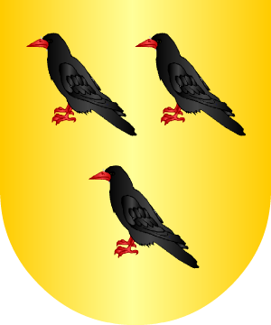 ESCUDO ALEATORIO